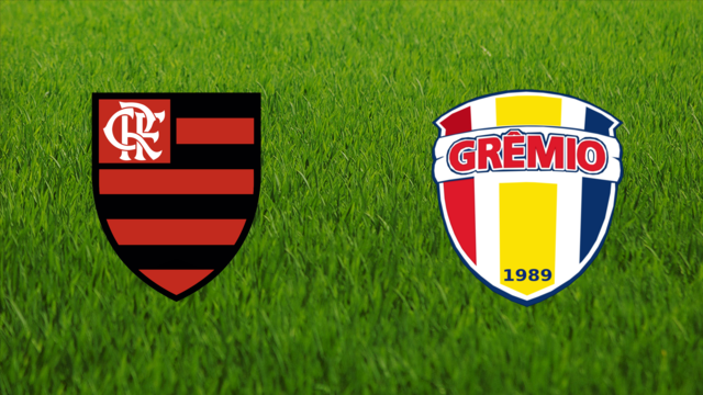 CR Flamengo vs. Grêmio Barueri CR Flamengo vs. Grêmio Barueri
